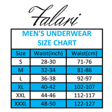 Load image into Gallery viewer, Falari Men's 4-Pack Bamboo Rayon Ultra Soft Lightweight Breathable Briefs Underwear